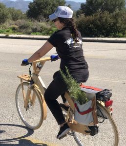 a person riding on the back of a bicycle